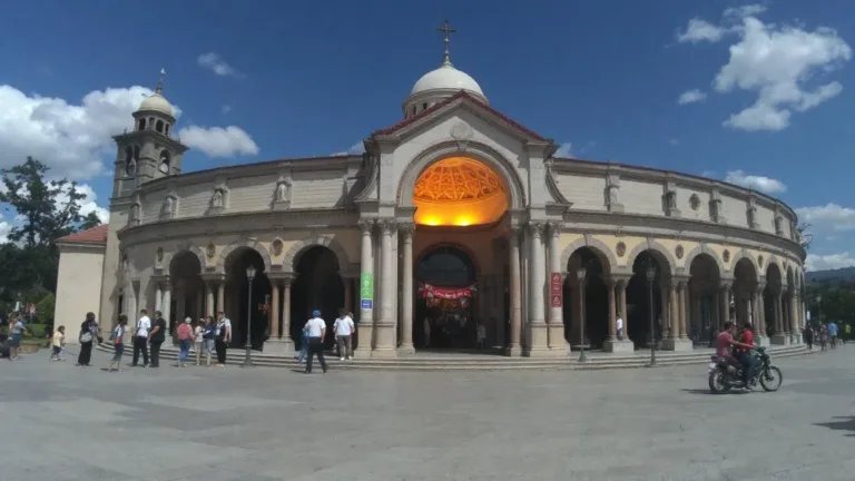 Ho provato questo trucco per 7 giorni, l’odore di pipì di gatto è sparito